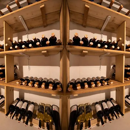 Vino 酒店 阿拉恰特